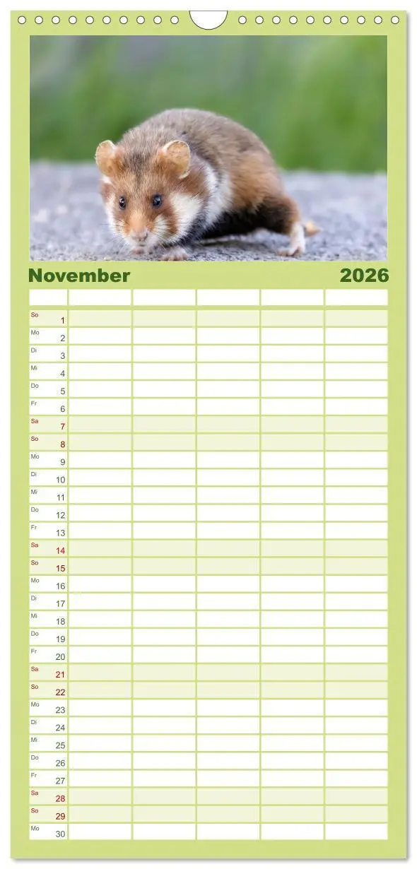 Bild: 9783516498202 | Familienplaner 2026 - Süße Nager mit 5 Spalten (Wandkalender, 21 x...