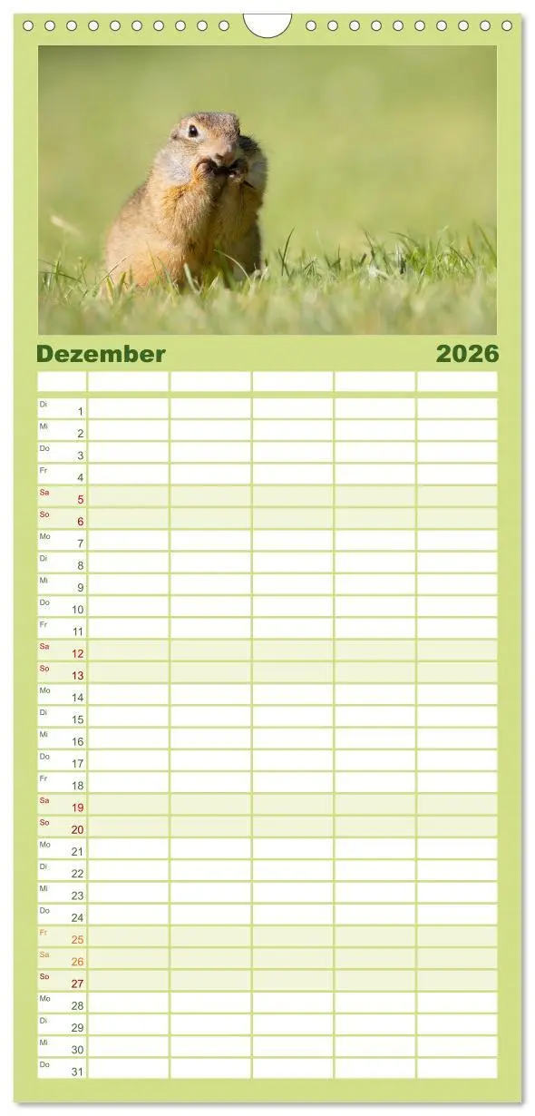 Bild: 9783516498202 | Familienplaner 2026 - Süße Nager mit 5 Spalten (Wandkalender, 21 x...