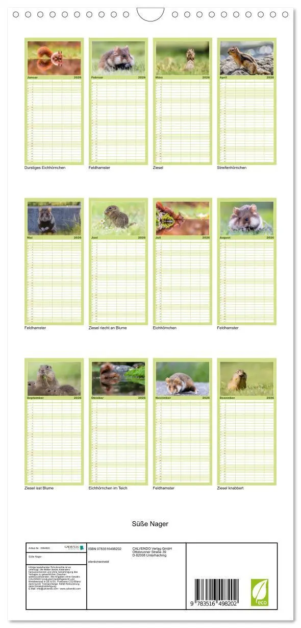 Bild: 9783516498202 | Familienplaner 2026 - Süße Nager mit 5 Spalten (Wandkalender, 21 x...
