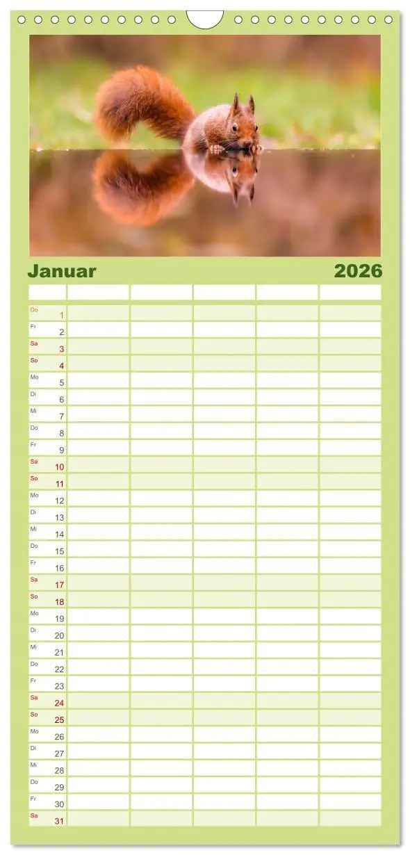 Bild: 9783516498202 | Familienplaner 2026 - Süße Nager mit 5 Spalten (Wandkalender, 21 x...