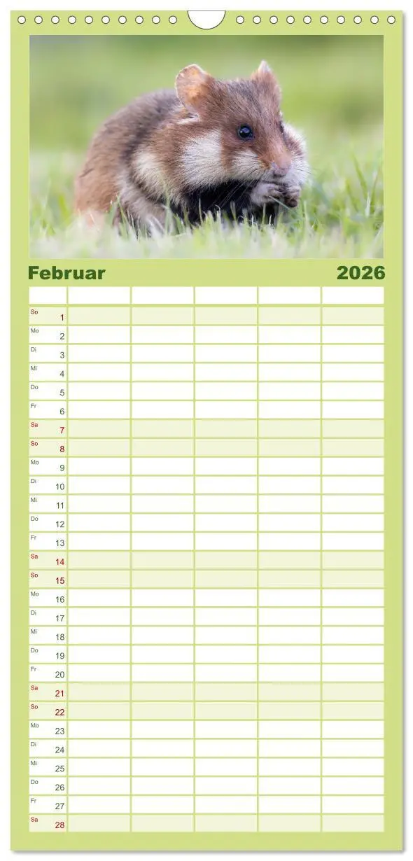 Bild: 9783516498202 | Familienplaner 2026 - Süße Nager mit 5 Spalten (Wandkalender, 21 x...