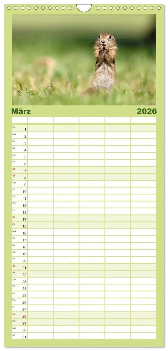 Bild: 9783516498202 | Familienplaner 2026 - Süße Nager mit 5 Spalten (Wandkalender, 21 x...
