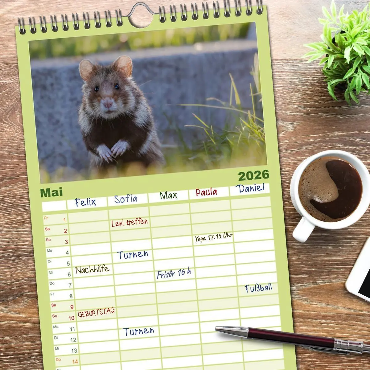 Bild: 9783516498202 | Familienplaner 2026 - Süße Nager mit 5 Spalten (Wandkalender, 21 x...