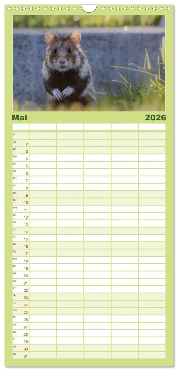 Bild: 9783516498202 | Familienplaner 2026 - Süße Nager mit 5 Spalten (Wandkalender, 21 x...