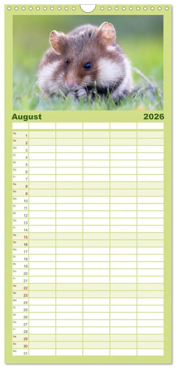 Bild: 9783516498202 | Familienplaner 2026 - Süße Nager mit 5 Spalten (Wandkalender, 21 x...