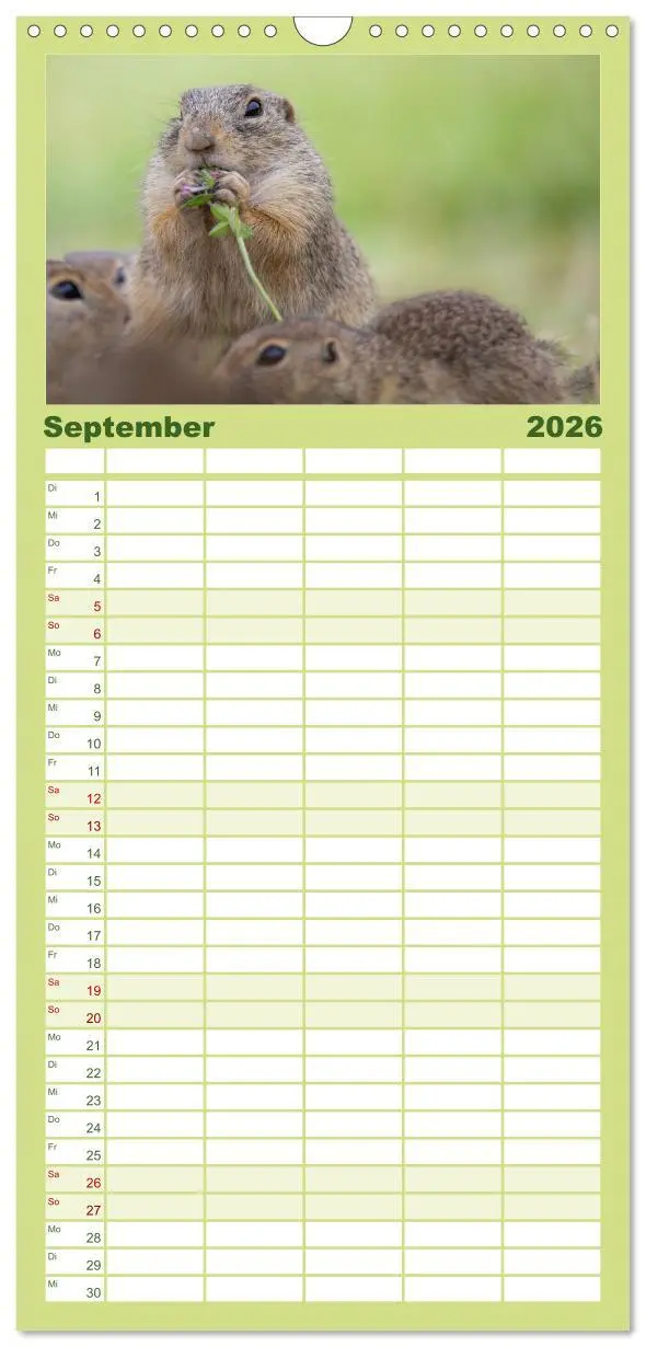 Bild: 9783516498202 | Familienplaner 2026 - Süße Nager mit 5 Spalten (Wandkalender, 21 x...