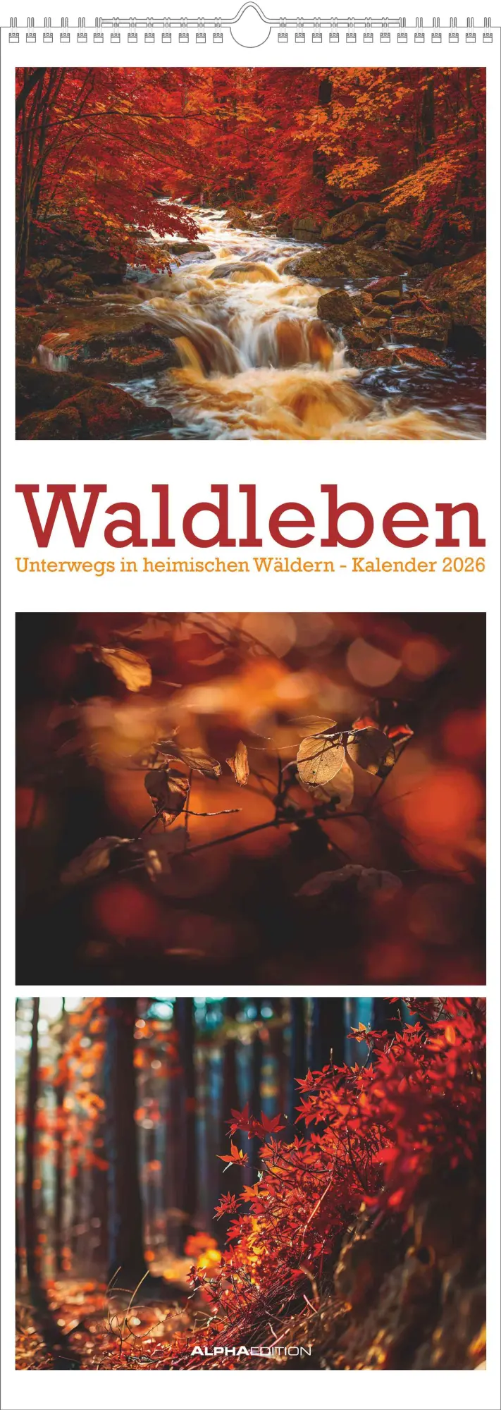 Cover: 4069095008502 | Waldleben - Triplets 2026 - Streifenkalender XXL 25x69 cm -...