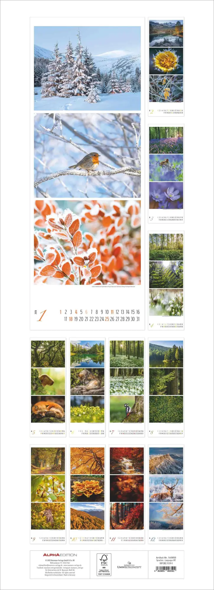 Rückseite: 4069095008502 | Waldleben - Triplets 2026 - Streifenkalender XXL 25x69 cm -...