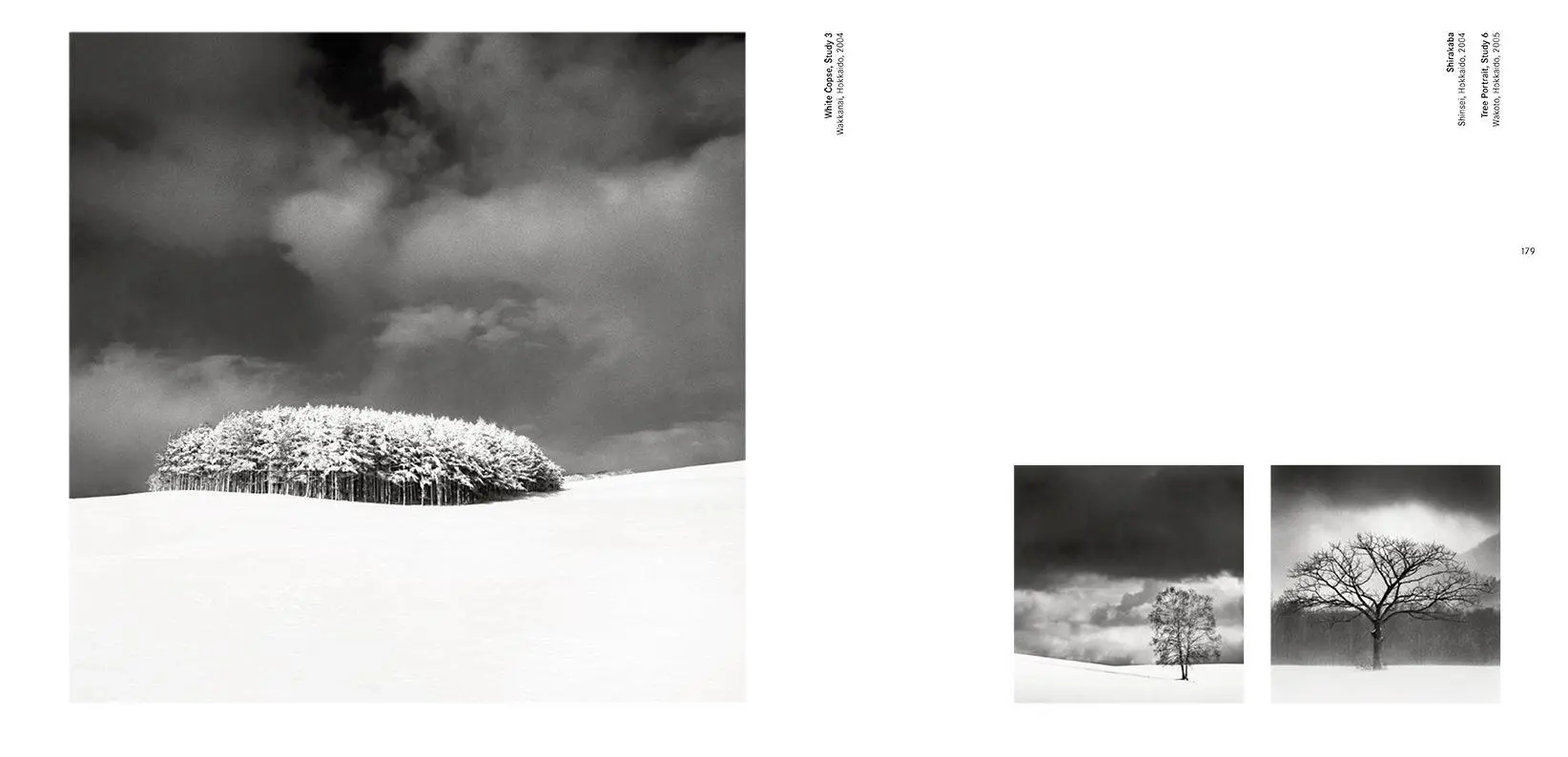 Bild: 9783791388502 | Forms of Japan: Michael Kenna (deutsche Ausgabe) | Kenna (u. a.)