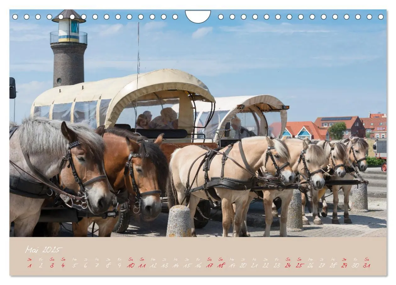 Bild: 9783457128602 | "Töwerland" Juist (Wandkalender 2025 DIN A4 quer), CALVENDO...