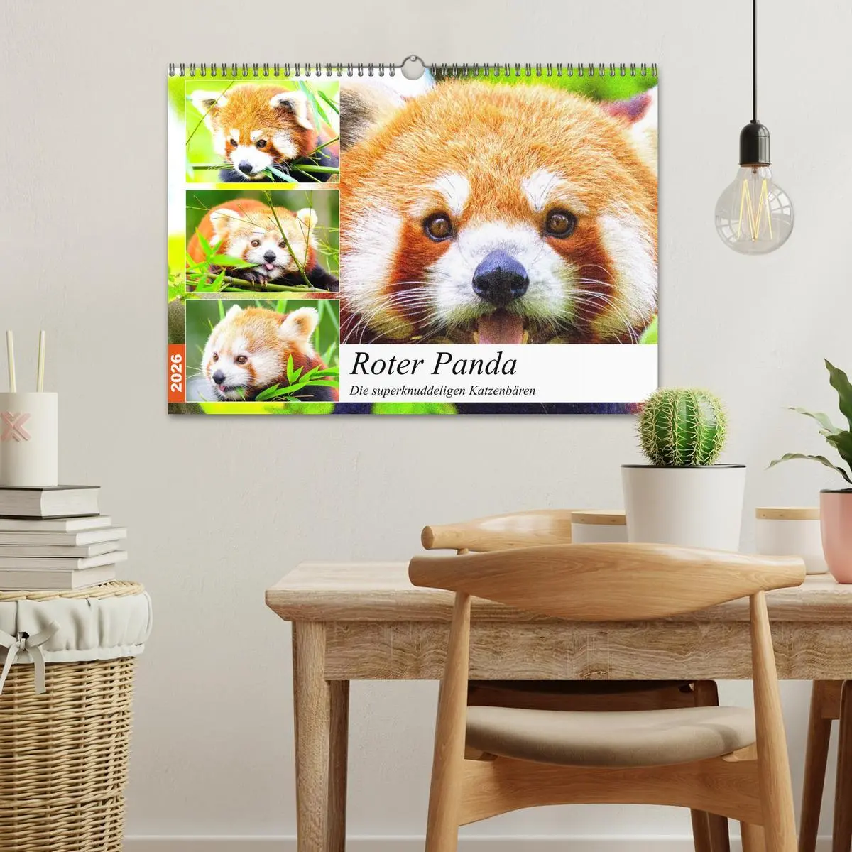 Bild: 9783457748602 | Roter Panda. Die superknuddeligen Katzenbären (Wandkalender 2026...