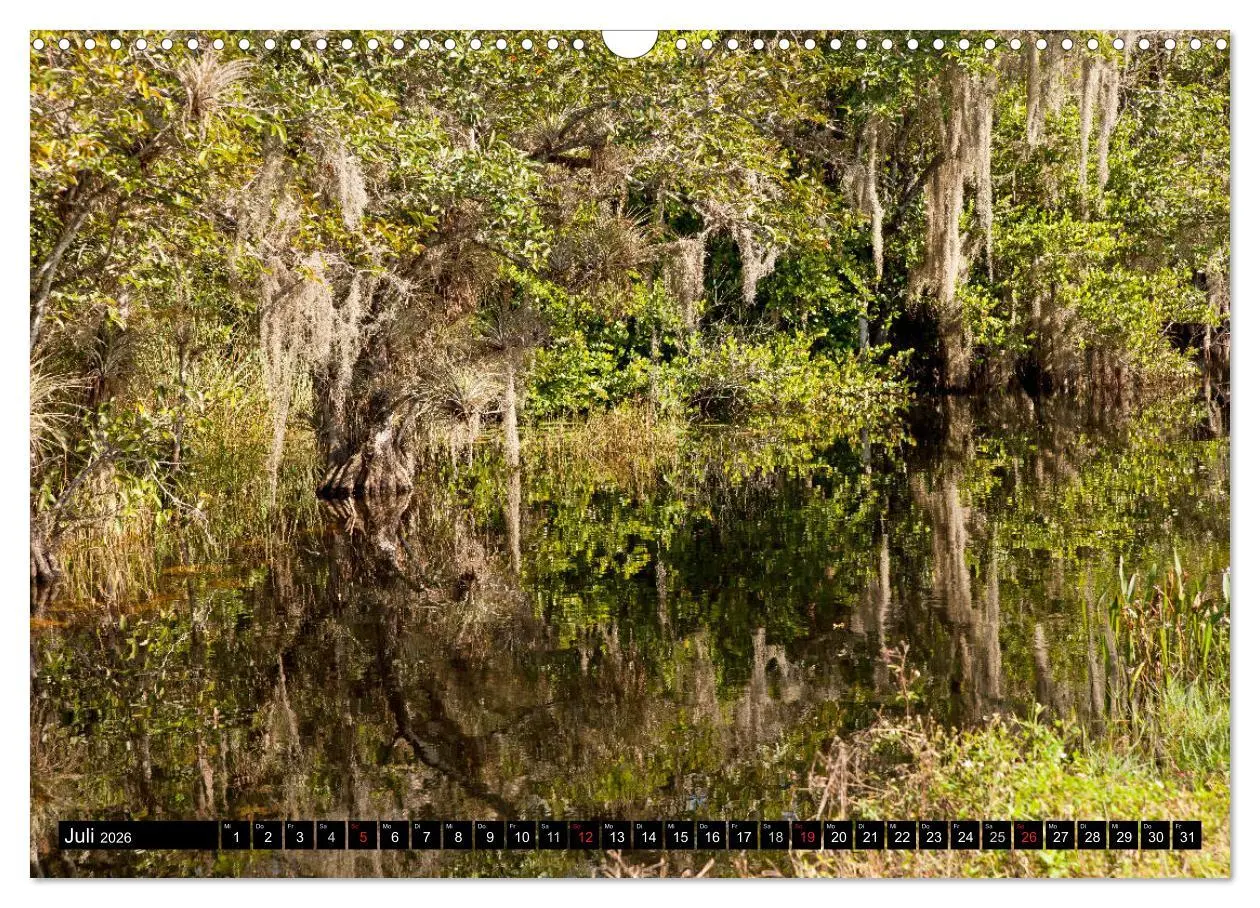 Bild: 9783516148602 | Miami und Florida (Wandkalender 2026 DIN A3 quer), CALVENDO...
