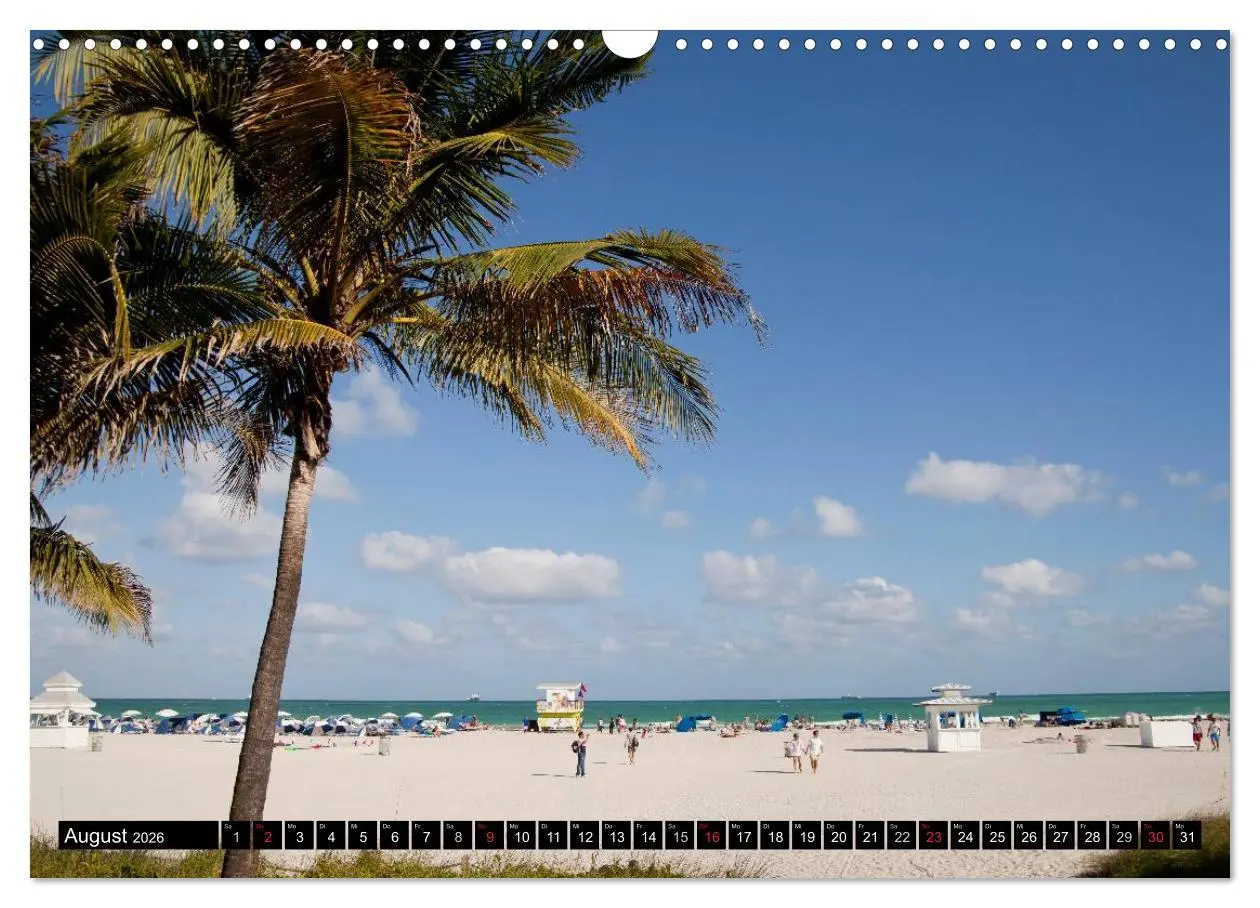 Bild: 9783516148602 | Miami und Florida (Wandkalender 2026 DIN A3 quer), CALVENDO...