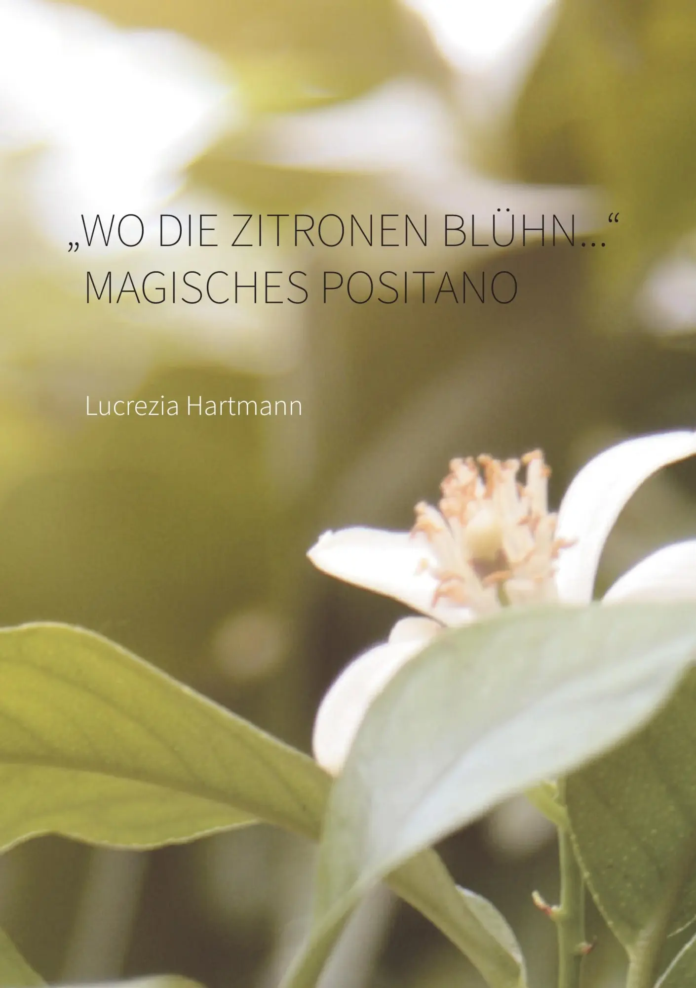 Cover: 9783741258602 | "Wo die Zitronen blühn...." Magisches Positano | Lucrezia Hartmann