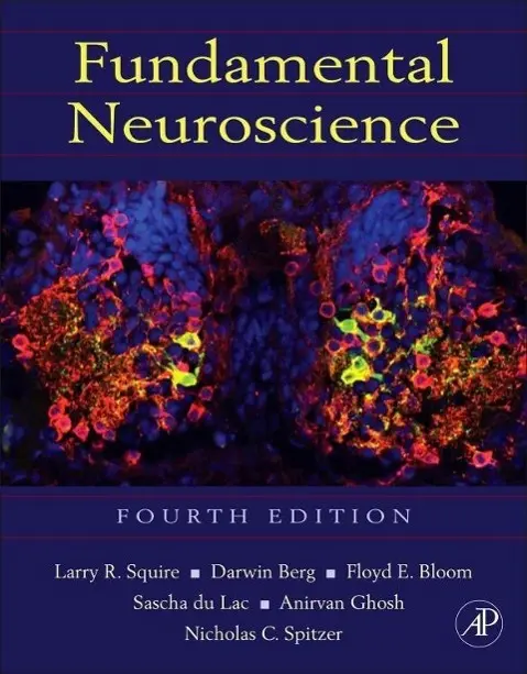 Cover: 9780123858702 | Fundamental Neuroscience | Squire (u. a.) | Buch | Gebunden | Englisch