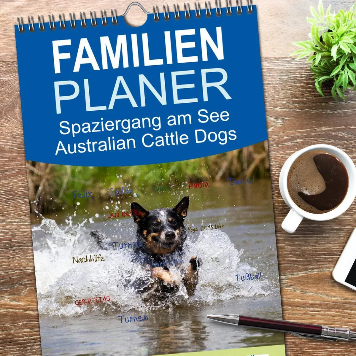 Bild: 9783516518702 | Familienplaner 2026 - Spaziergang am See Australian Cattle Dogs mit...