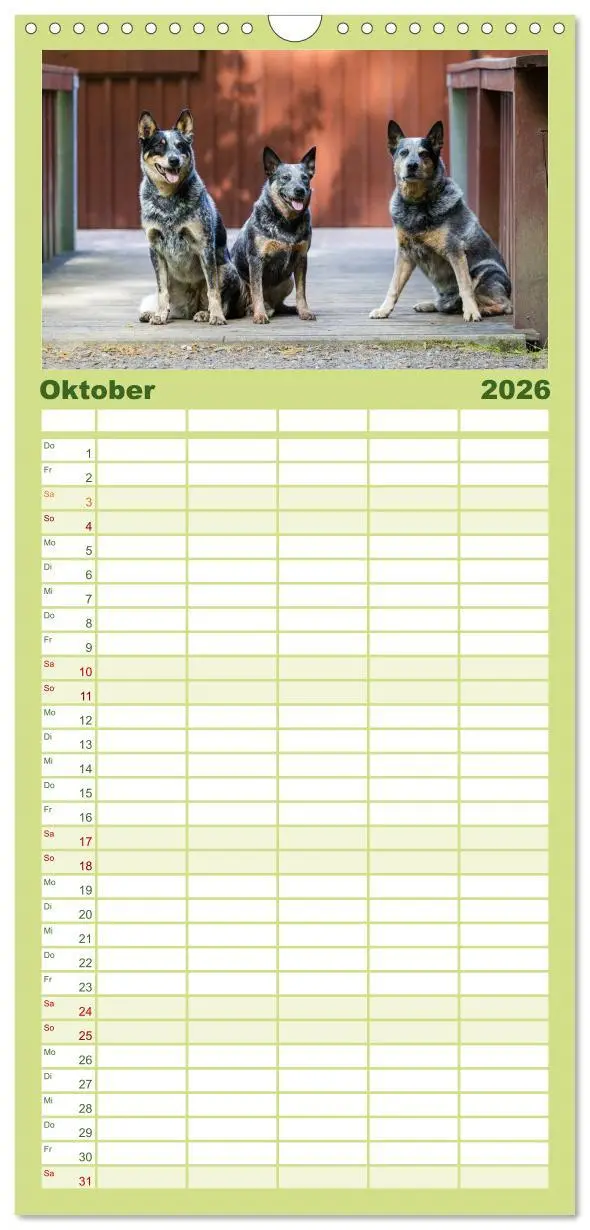 Bild: 9783516518702 | Familienplaner 2026 - Spaziergang am See Australian Cattle Dogs mit...