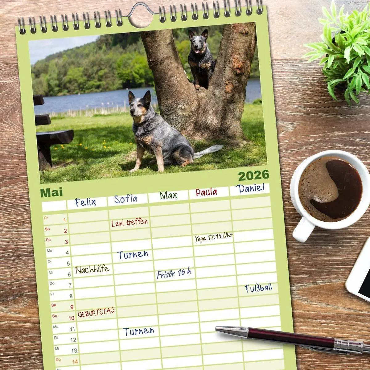 Bild: 9783516518702 | Familienplaner 2026 - Spaziergang am See Australian Cattle Dogs mit...