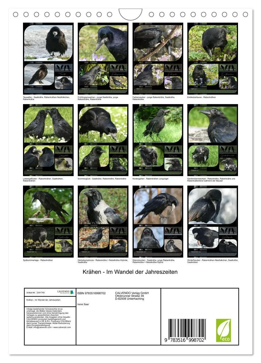 Bild: 9783516998702 | Krähen - Im Wandel der Jahreszeiten (Wandkalender 2027 DIN A4...