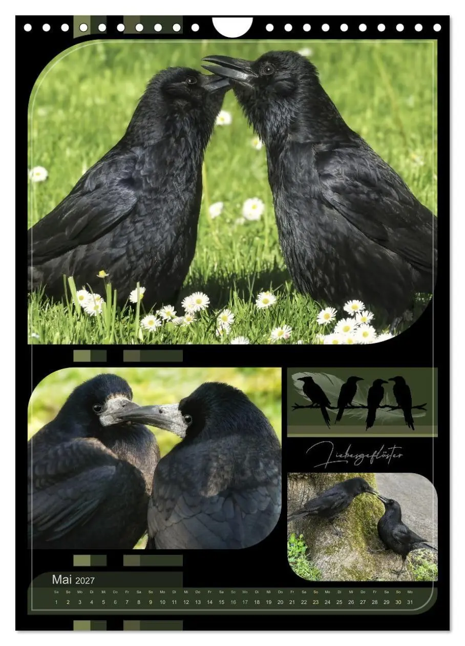 Bild: 9783516998702 | Krähen - Im Wandel der Jahreszeiten (Wandkalender 2027 DIN A4...
