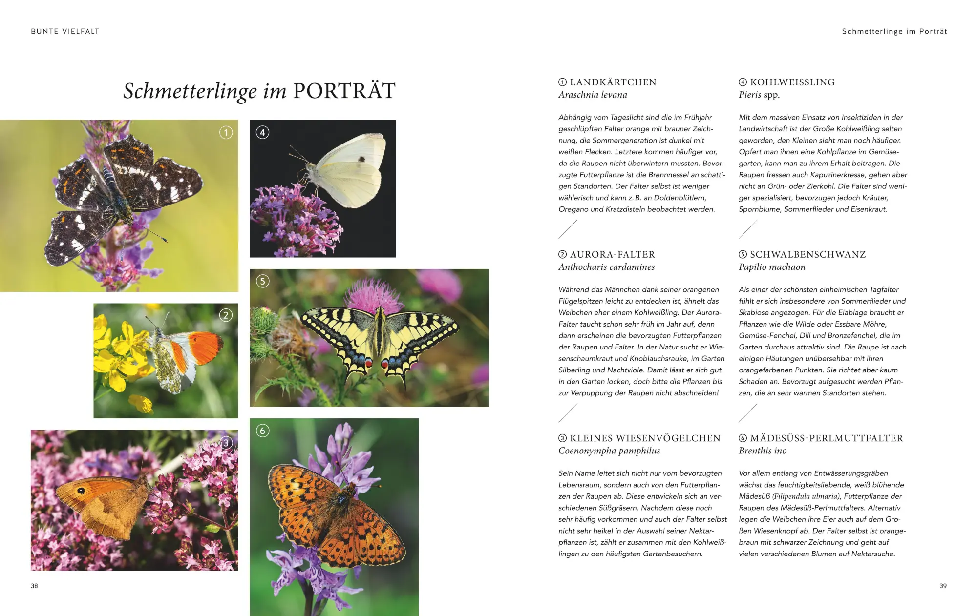 Bild: 9783833868702 | Mein summendes Paradies | Cynthia Nagel | Buch | GU Garten extra