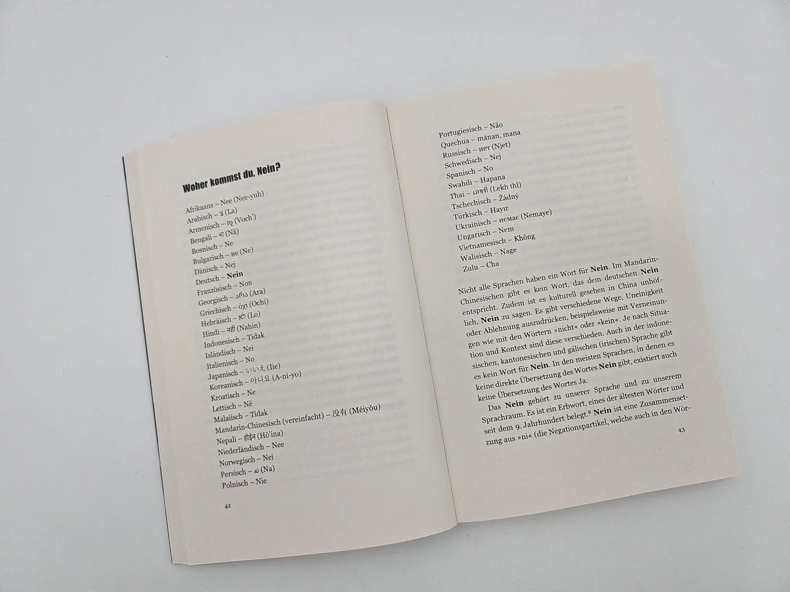 Bild: 9783492068802 | Nö | Maike Schöfer | Taschenbuch | 224 S. | Deutsch | 2025
