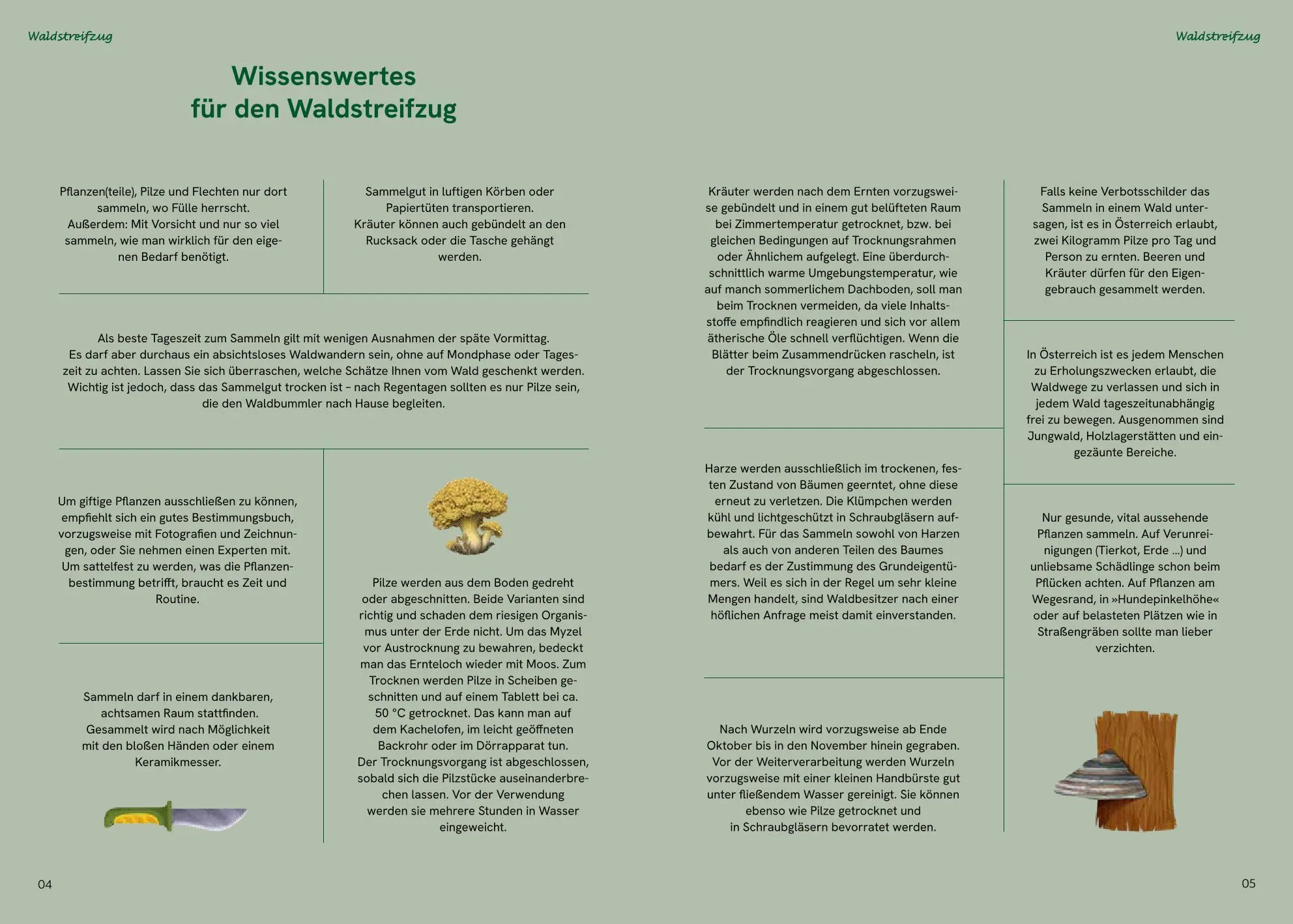 Bild: 9783708808802 | Die große Waldapotheke | Sabine Eilmsteiner | Buch | 160 S. | Deutsch
