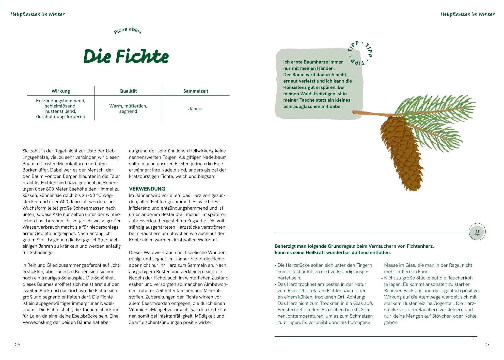 Bild: 9783708808802 | Die große Waldapotheke | Sabine Eilmsteiner | Buch | 160 S. | Deutsch