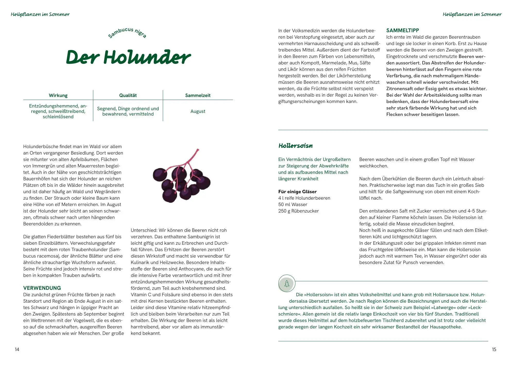 Bild: 9783708808802 | Die große Waldapotheke | Sabine Eilmsteiner | Buch | 160 S. | Deutsch