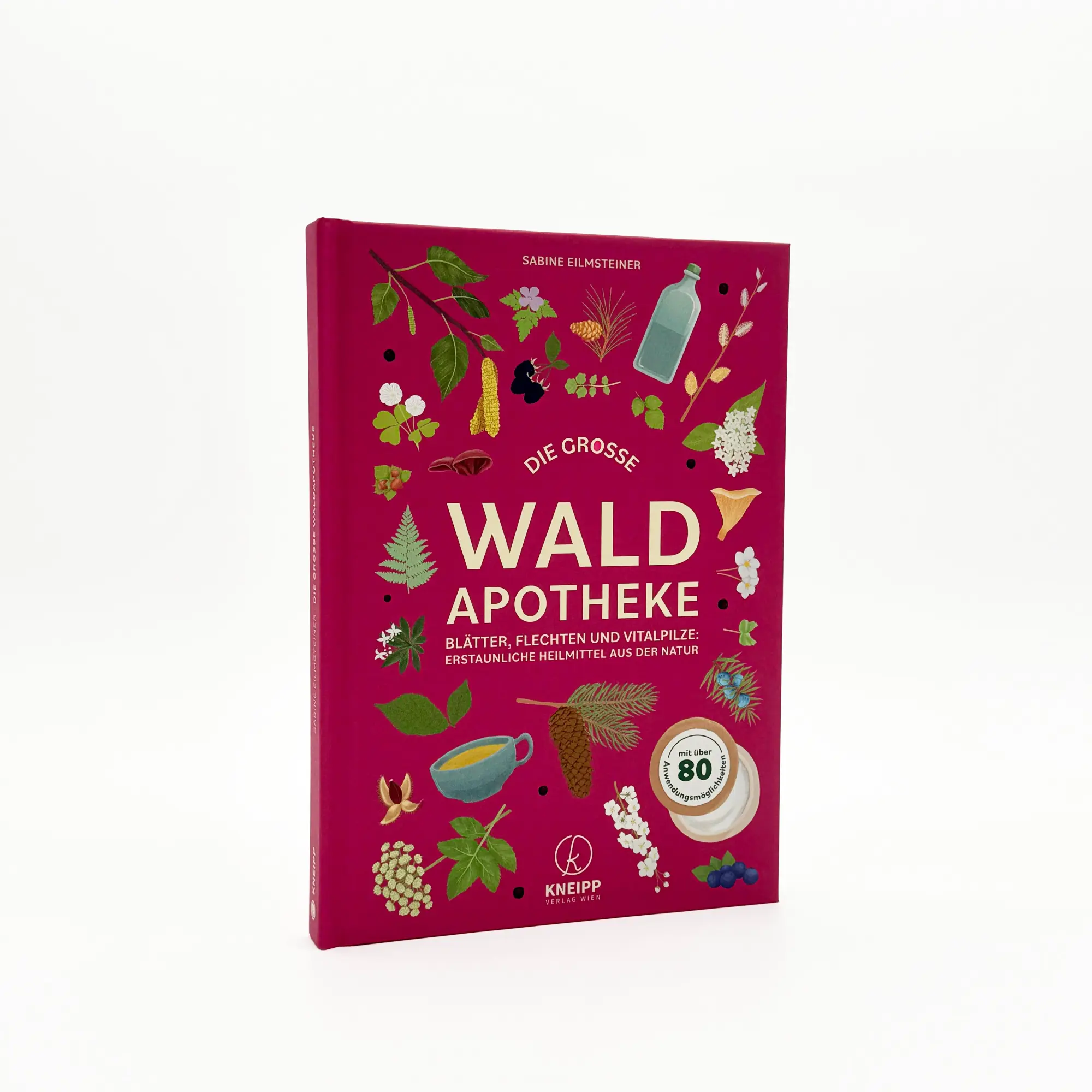 Bild: 9783708808802 | Die große Waldapotheke | Sabine Eilmsteiner | Buch | 160 S. | Deutsch