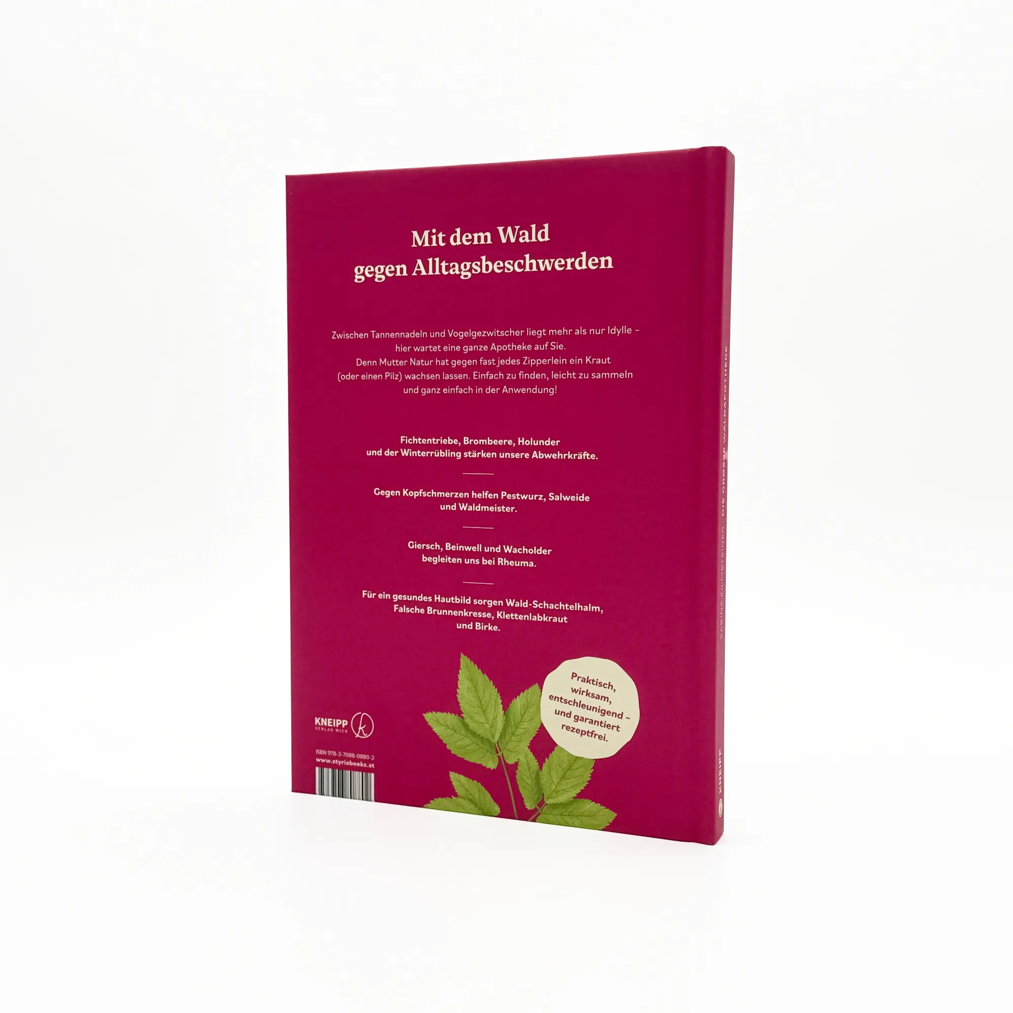 Bild: 9783708808802 | Die große Waldapotheke | Sabine Eilmsteiner | Buch | 160 S. | Deutsch