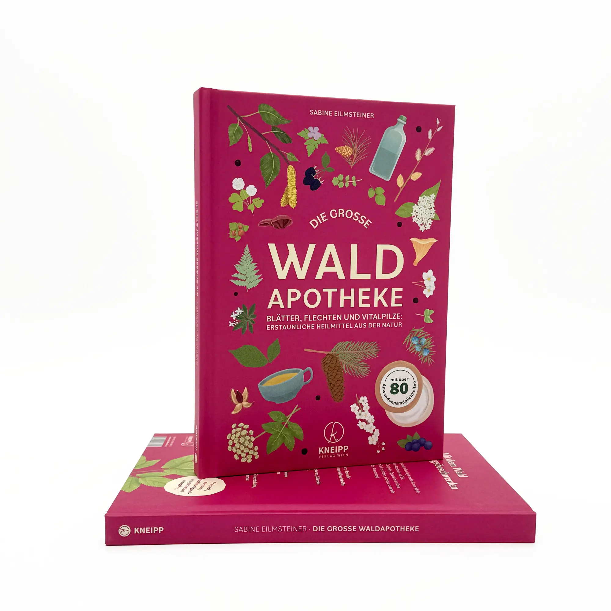 Bild: 9783708808802 | Die große Waldapotheke | Sabine Eilmsteiner | Buch | 160 S. | Deutsch