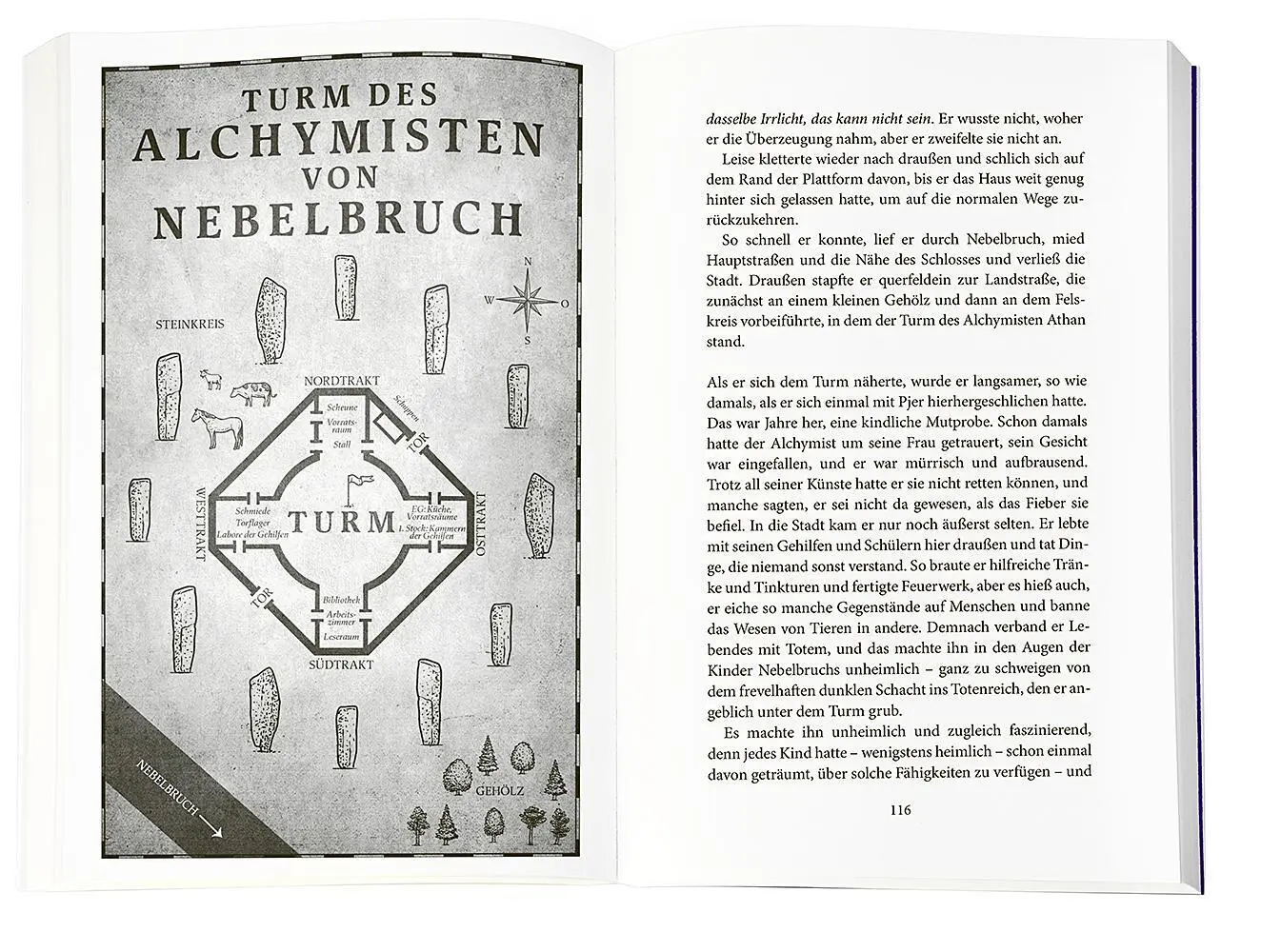 Bild: 9783426529102 | Moorläufer. Im Reich des letzten Drachen | Boris Koch | Taschenbuch