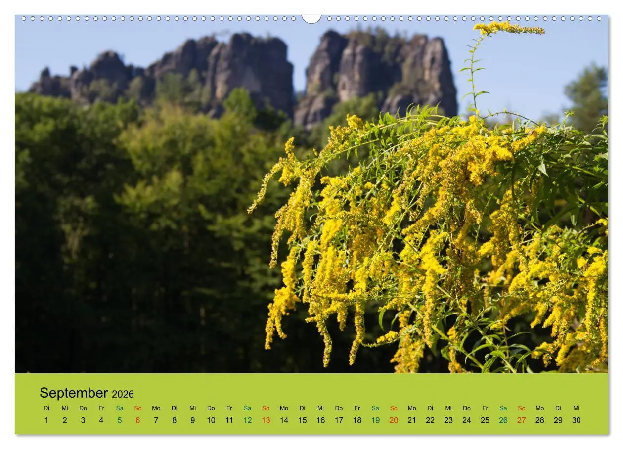 Bild: 9783516089202 | Im Elbsandstein - Sächsisch-böhmische Schweiz (Wandkalender 2026...
