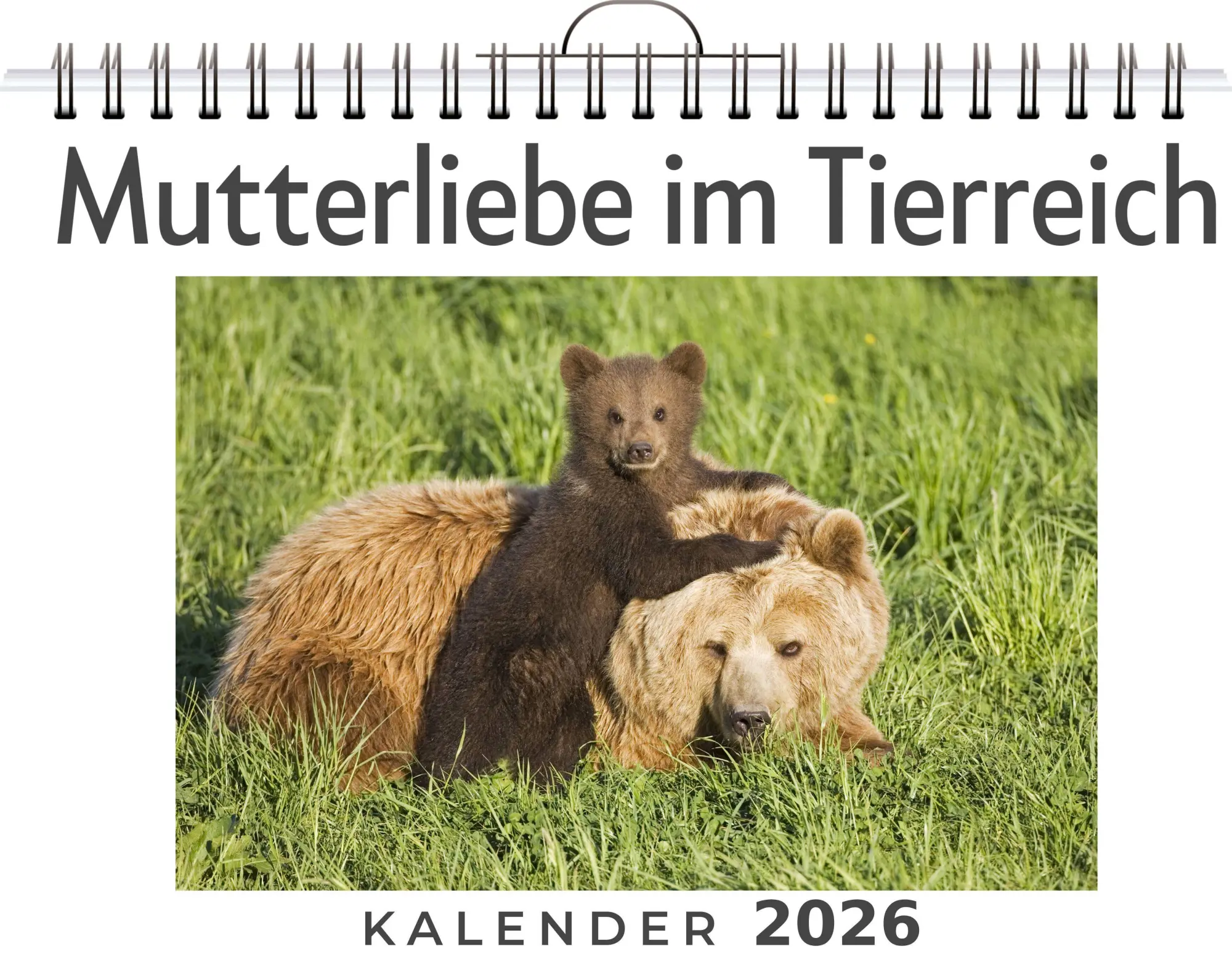 Cover: 9783759189202 | Mutterliebe im Tierreich | Clara Wagner | Kalender | Deutsch | 2026
