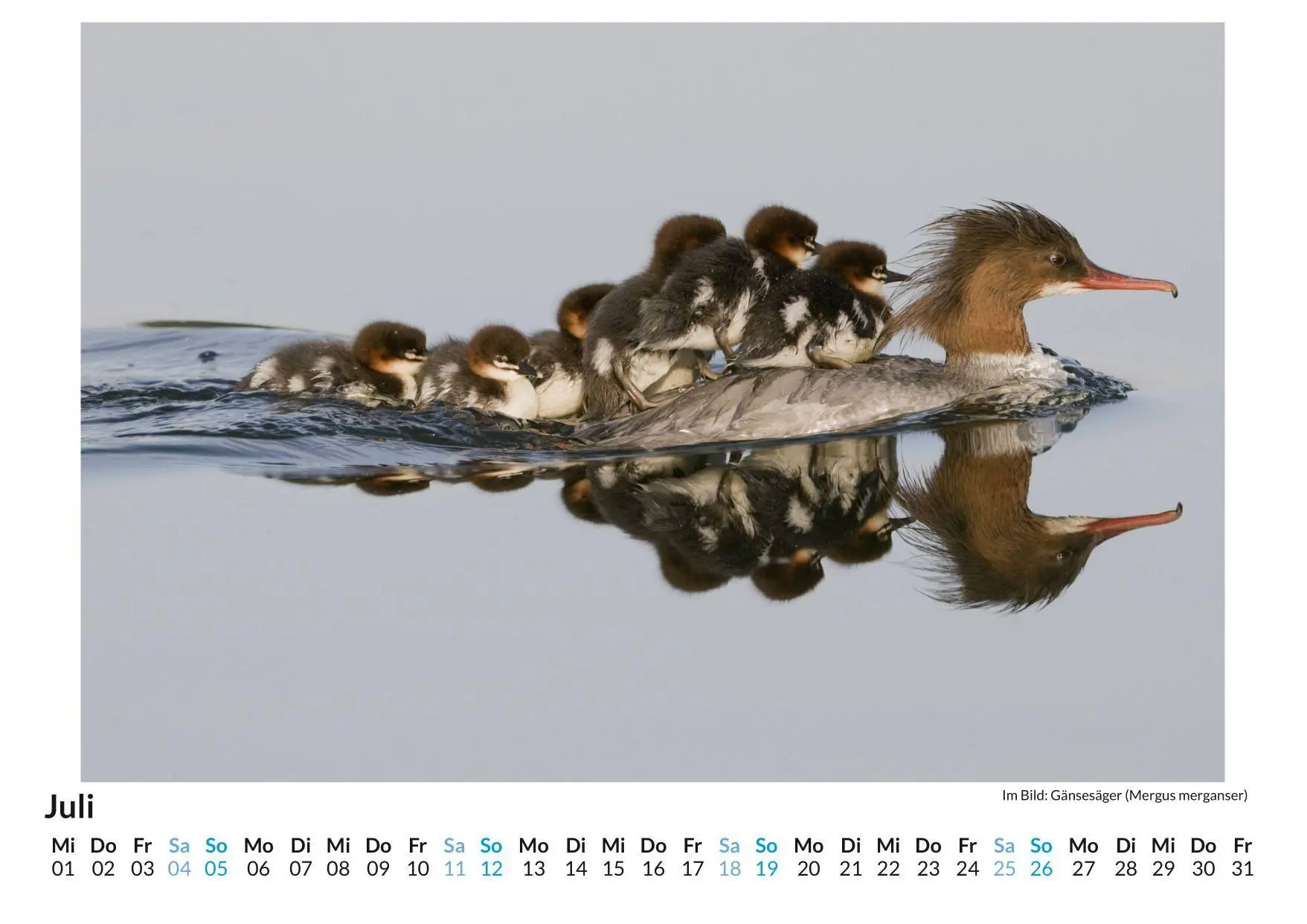 Bild: 9783759189202 | Mutterliebe im Tierreich | Clara Wagner | Kalender | Deutsch | 2026