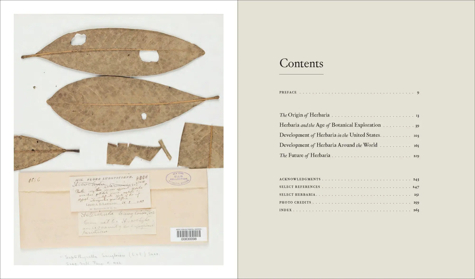 Bild: 9781604699302 | Herbarium | The Quest to Preserve and Classify the World's Plants
