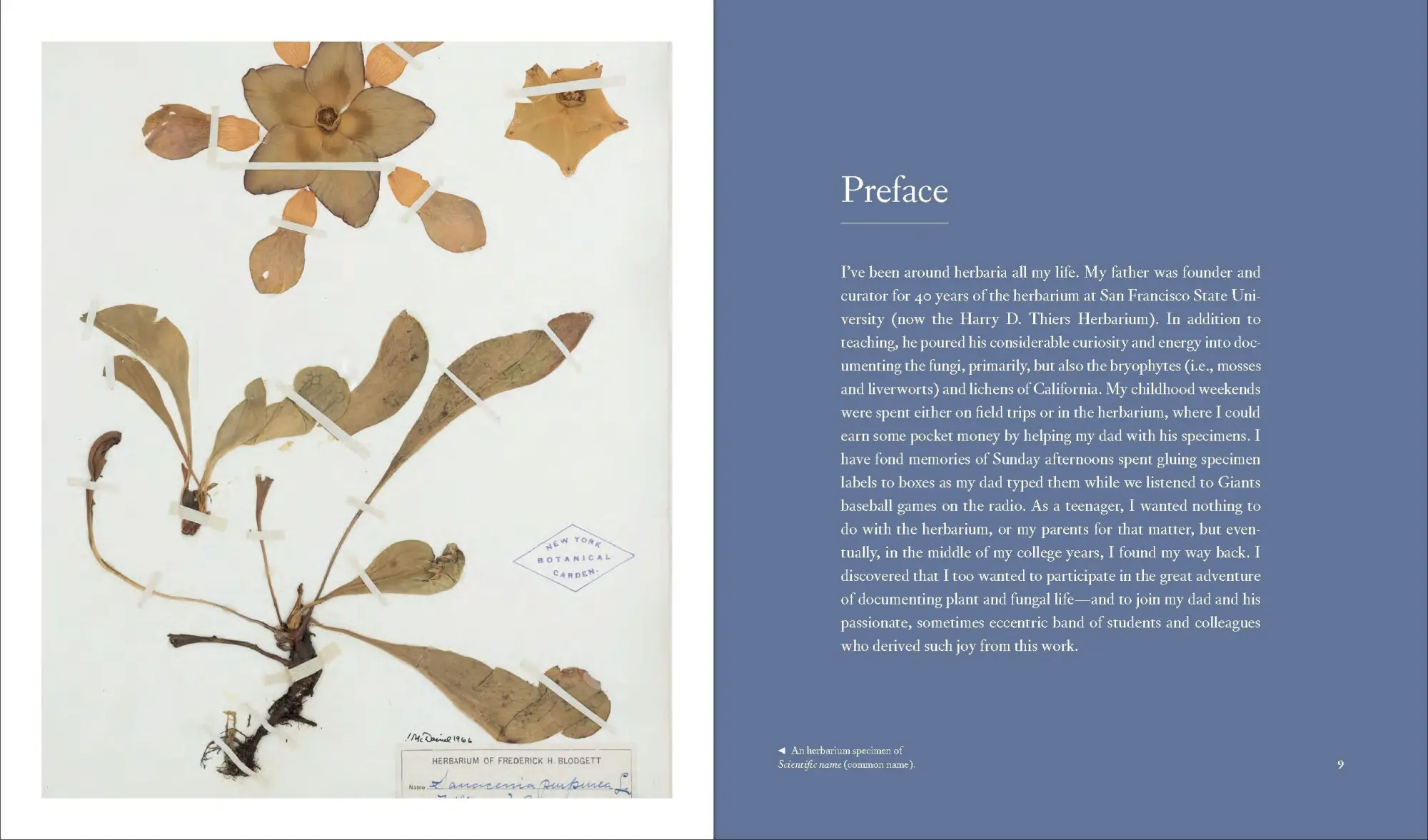 Bild: 9781604699302 | Herbarium | The Quest to Preserve and Classify the World's Plants