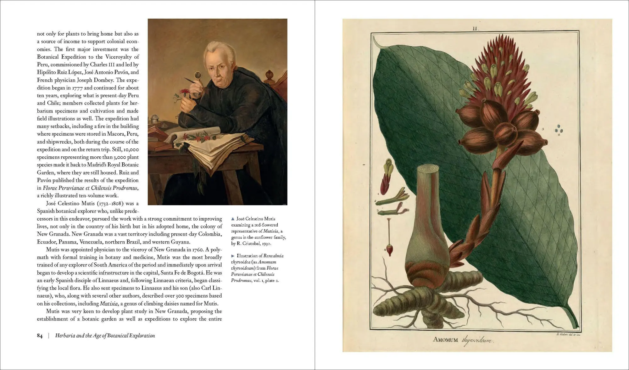Bild: 9781604699302 | Herbarium | The Quest to Preserve and Classify the World's Plants