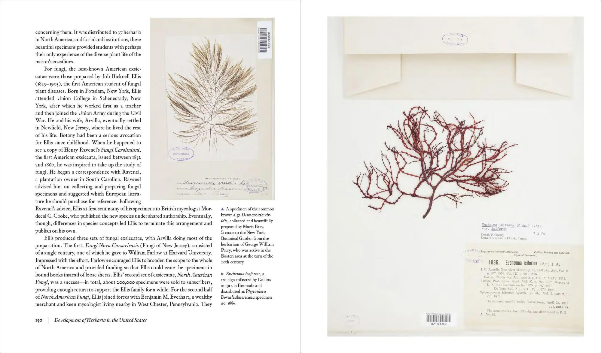 Bild: 9781604699302 | Herbarium | The Quest to Preserve and Classify the World's Plants