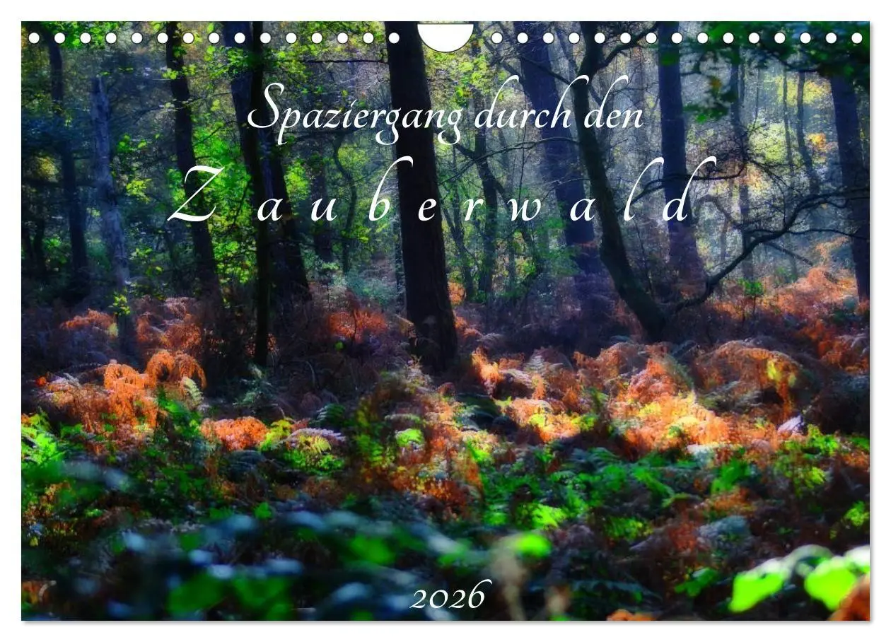 Cover: 9783457989302 | Spaziergang durch den Zauberwald (Wandkalender 2026 DIN A4 quer),...