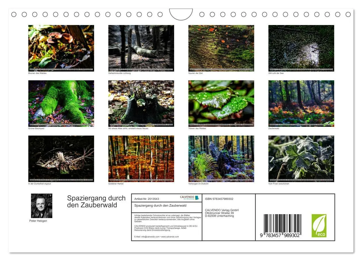 Bild: 9783457989302 | Spaziergang durch den Zauberwald (Wandkalender 2026 DIN A4 quer),...
