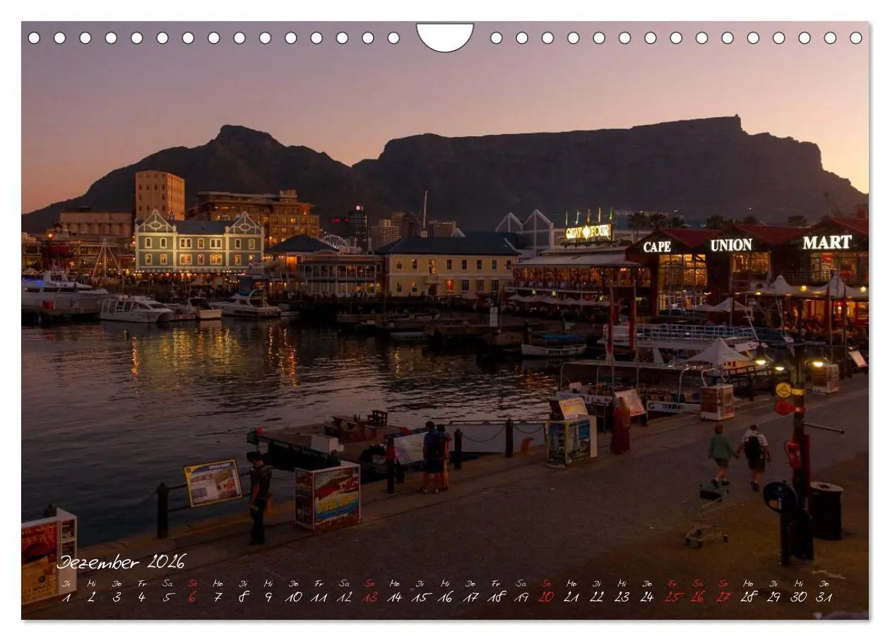 Bild: 9783516219302 | Am Kap von Südafrika (Wandkalender 2026 DIN A4 quer), CALVENDO...