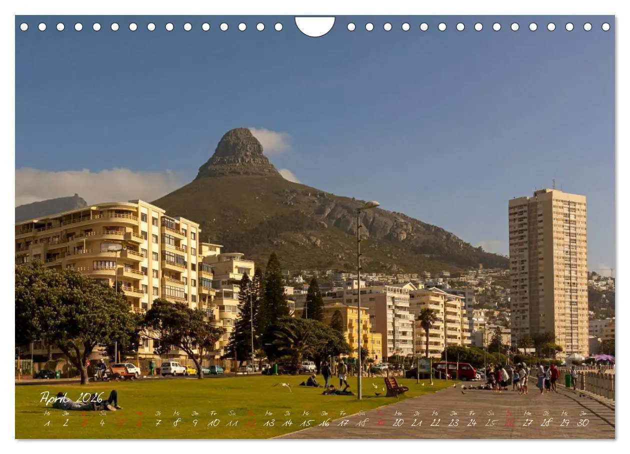Bild: 9783516219302 | Am Kap von Südafrika (Wandkalender 2026 DIN A4 quer), CALVENDO...
