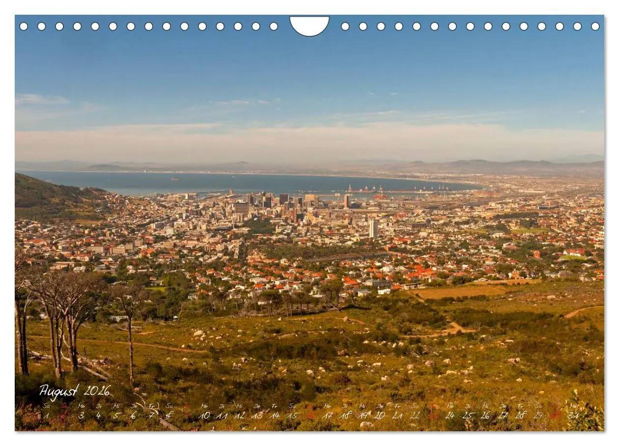 Bild: 9783516219302 | Am Kap von Südafrika (Wandkalender 2026 DIN A4 quer), CALVENDO...