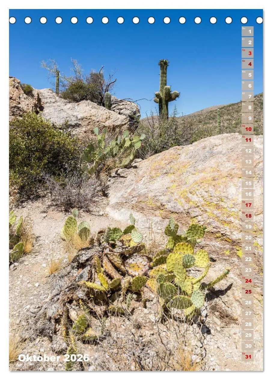 Bild: 9783516389302 | SAGUARO NATIONAL PARK Wüstenimpressionen aus Arizona (Tischkalender...