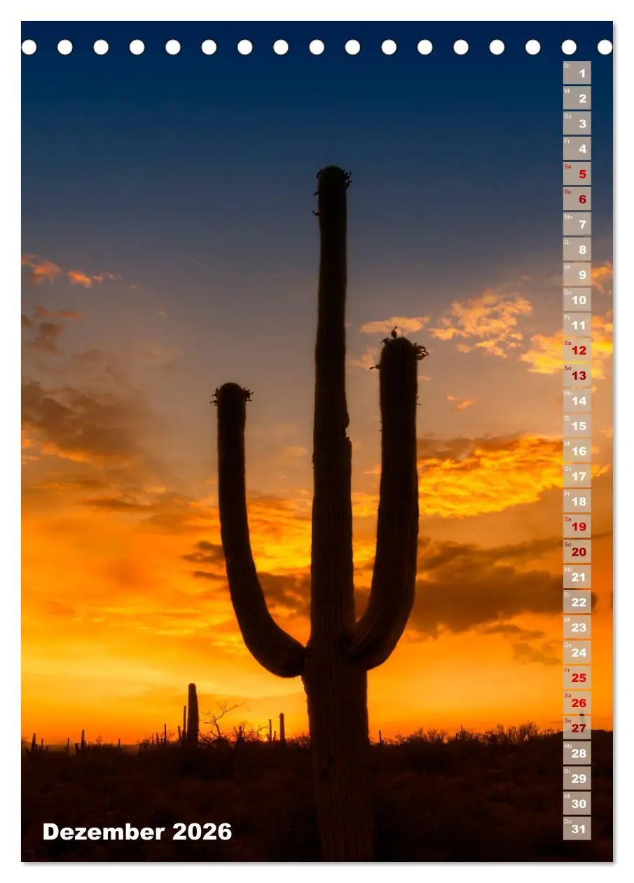 Bild: 9783516389302 | SAGUARO NATIONAL PARK Wüstenimpressionen aus Arizona (Tischkalender...