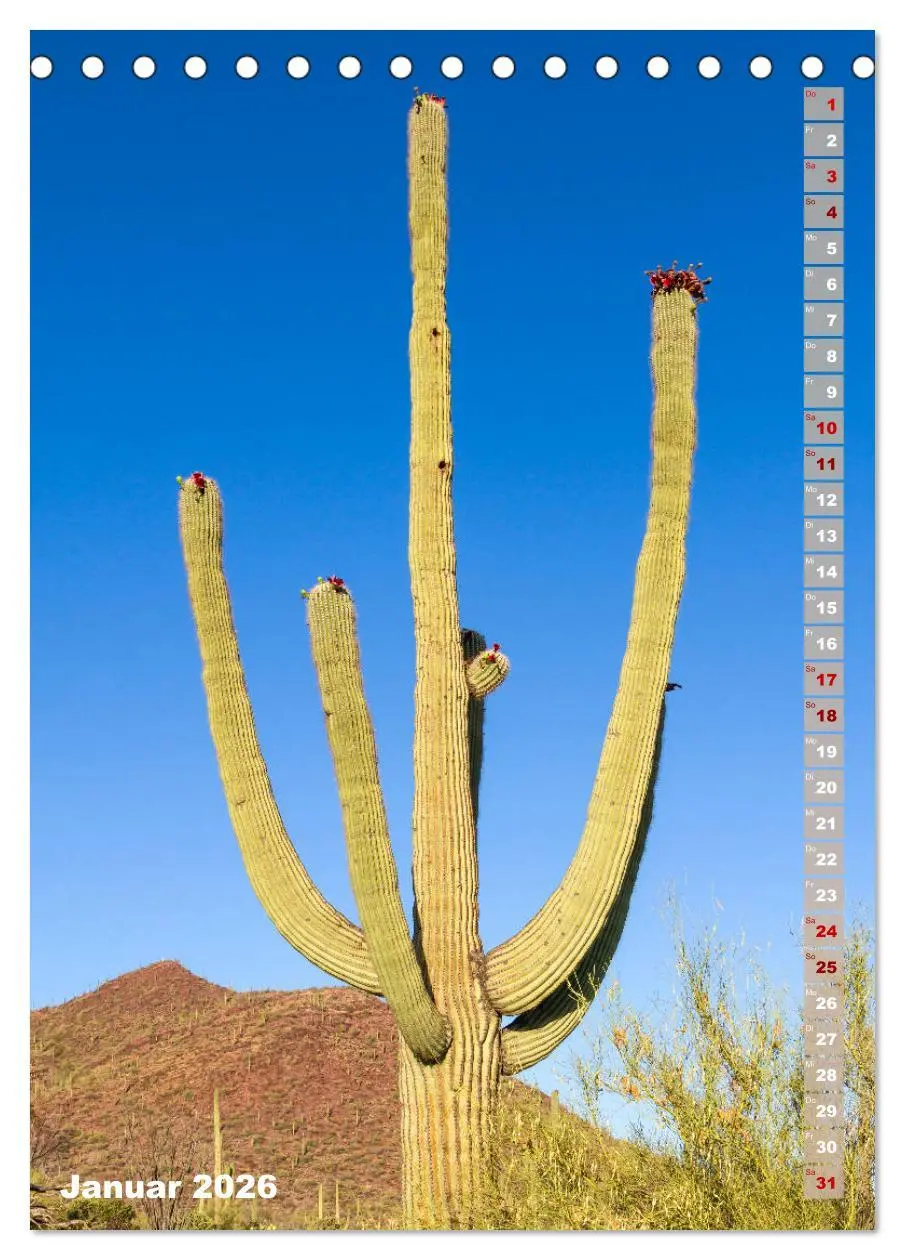 Bild: 9783516389302 | SAGUARO NATIONAL PARK Wüstenimpressionen aus Arizona (Tischkalender...