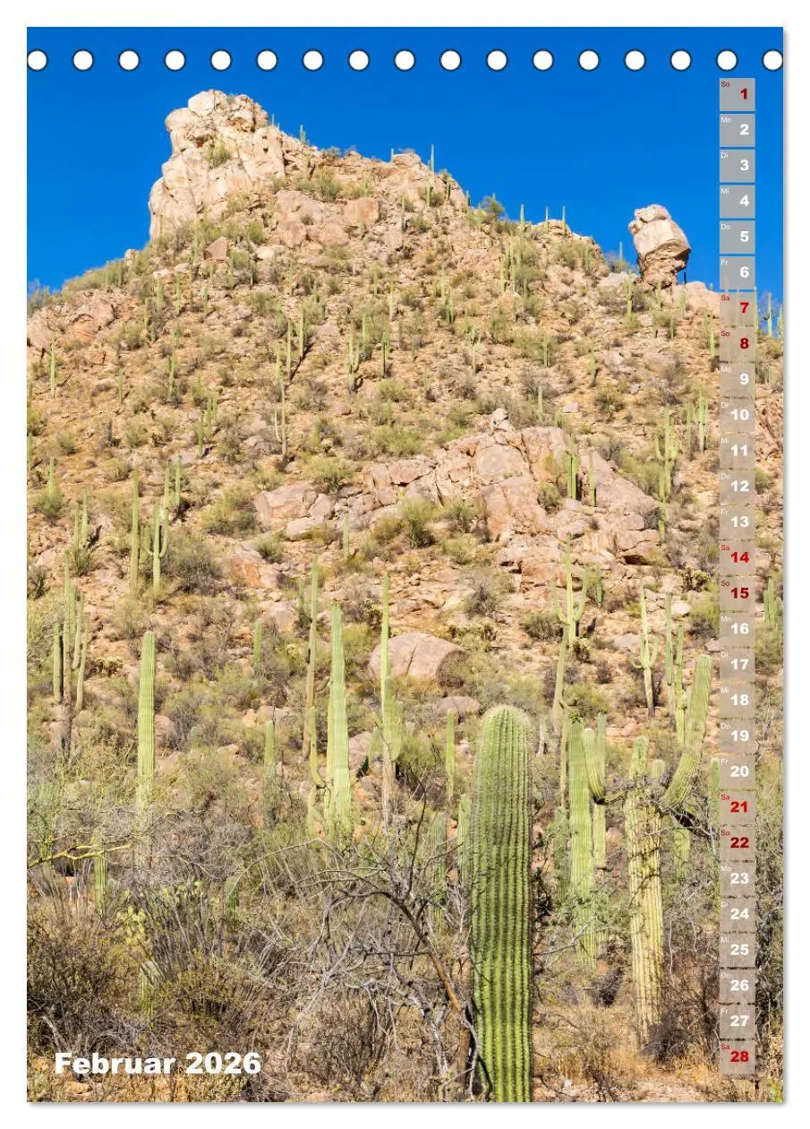 Bild: 9783516389302 | SAGUARO NATIONAL PARK Wüstenimpressionen aus Arizona (Tischkalender...