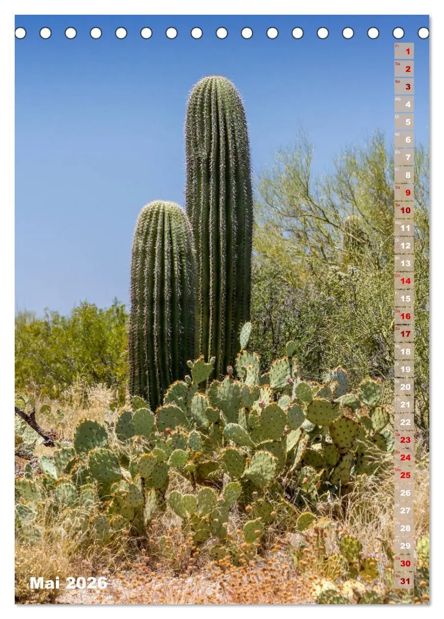 Bild: 9783516389302 | SAGUARO NATIONAL PARK Wüstenimpressionen aus Arizona (Tischkalender...